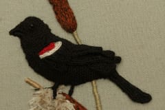 Red-Winged Blackbird